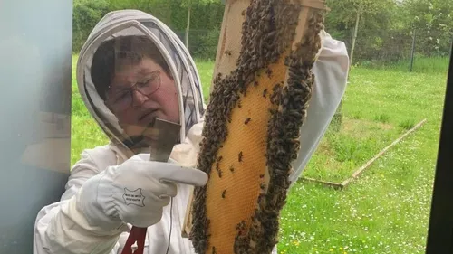 Pays de Lumbres : de multiples nouveautés pour l’édition 2025 de la...