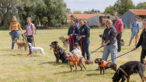Dunkerque / Calais / Saint-Omer : une école pour certifier le duo...