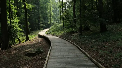 Profitez de l’été en visitant la Forêt d’Éperlecques 