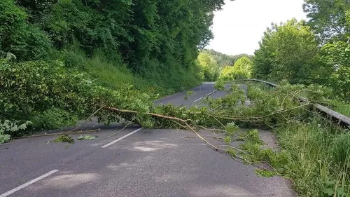 Blendecques : un arbre tombe sur la route
