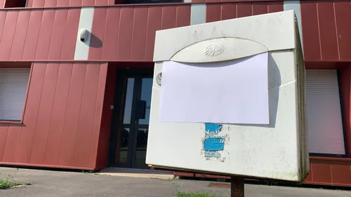 Audomarois / Calaisis :  le phénomène inquiétant de "feuilles...