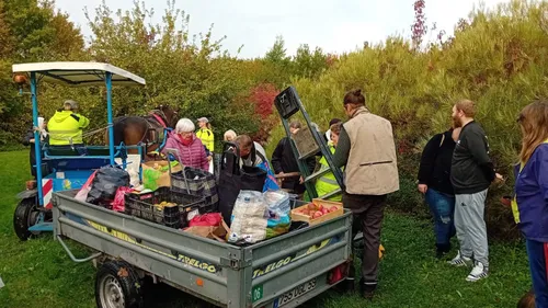 "Mangez des pommes !" : à Grande-Synthe, les habitants cueillent...