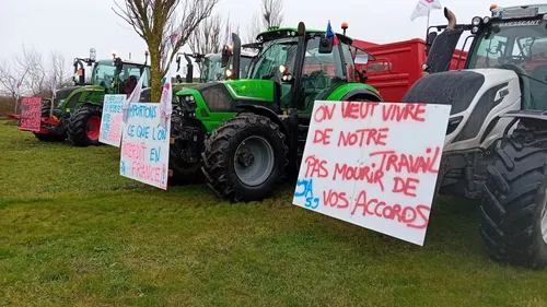 A Dunkerque, le port bloqué par les Jeunes Agriculteurs