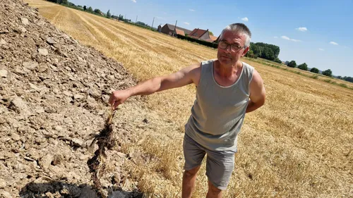 Winnezeele : trois projets de poulaillers déposés, les habitants...
