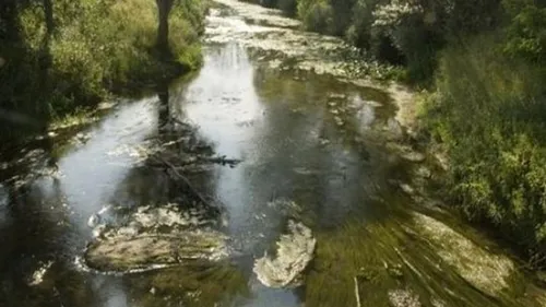 L'Aa polluée à hauteur de Saint-Martin-d’Hardinghem