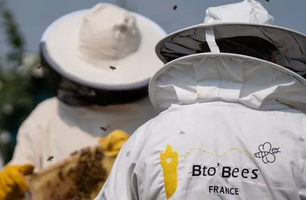 Witernesse : Des abeilles dans les entreprises pour faire du bien à...
