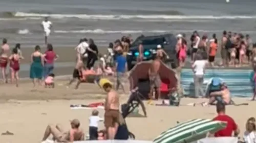 Bray-Dunes : alerte requin en plein après-midi ensoleillée