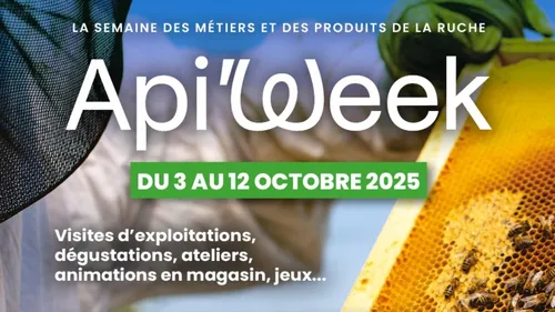 Hoymille : Api'week ce vendredi après-midi à la Miellerie du Zyckelin