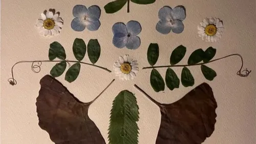 Wimille : Ateliers gratuits à la Colonne de la Grande Armée dimanche