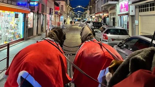 Un accident de... calèche, à Berck
