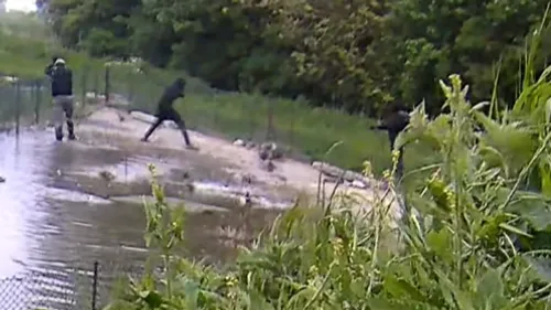 Cruauté animale à Saint-Folquin : une quinzaine de canards...