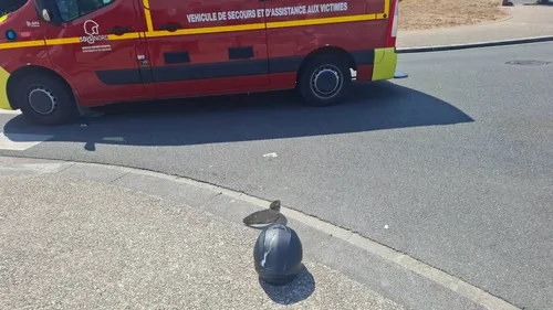 Accident à Grand-Fort-Philippe : le conducteur de trottinette...