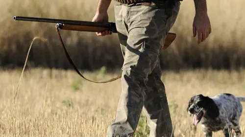 Pas-de-Calais : ouverture de la période de chasse le 21 septembre