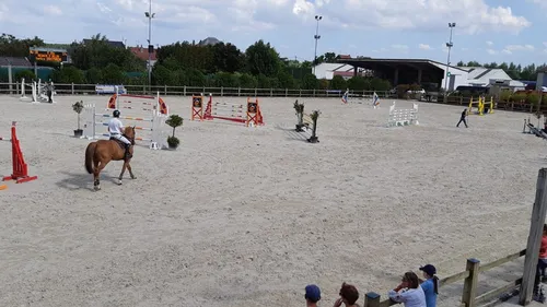 Un concours équestre annulé à Strazeele à cause de la rhinopneumonie
