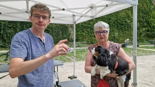 Identification des chiens à Saint-Omer, le périmètre grandit