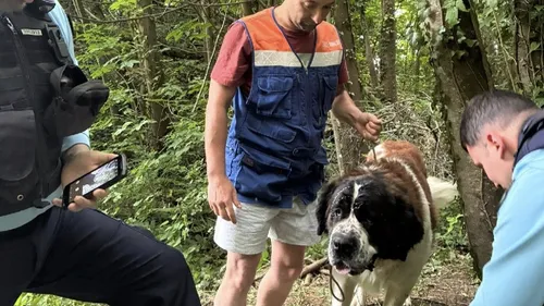 Rety : "le chien était attaché et totalement assoiffé"