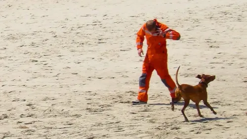 Berck : une promeneuse et son chien encerclés par la marée