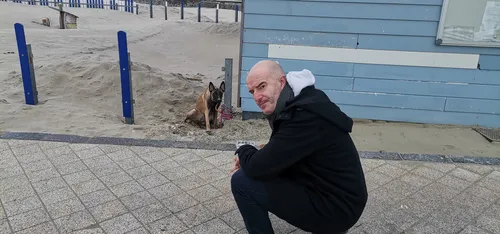 Un chien abandonné sur la plage de Boulogne, le service animalier...