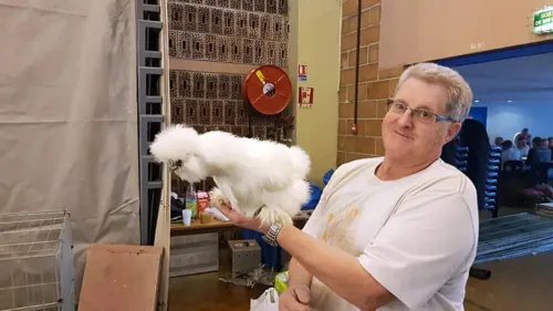 Lapins, volailles, pigeons et oiseaux vous attendent nombreux ce...