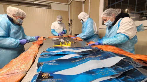 Boulogne: à quelques heures de Noël, Capécure fourmille, exemple...