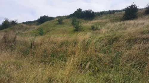 Delettes : un coup de pouce de la Fondation du patrimoine 