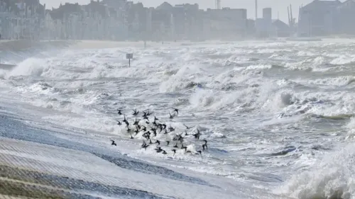 Prudence pour les fêtes de fin d'année : une mer très agitée sur...