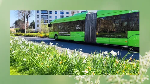 Un chauffeur Dk'Bus agressé à Coudekerque-Branche