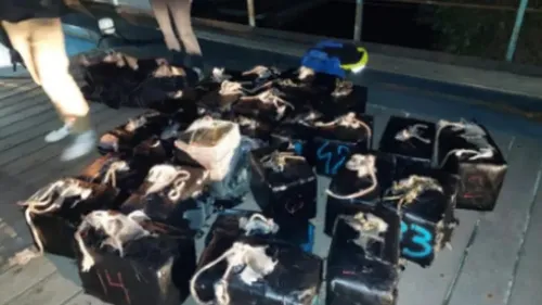 Dunkerque : Onze personnes mises en examen dans l'affaire du cargo...