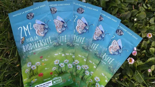 Eden 62 offre des graines aux habitants du Pas-de-Calais