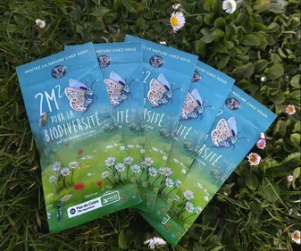 Eden 62 offre des graines aux habitants du Pas-de-Calais