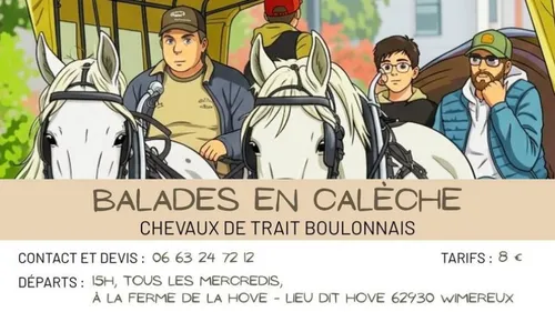 Wimereux : Balades en calèche chaque mercredi