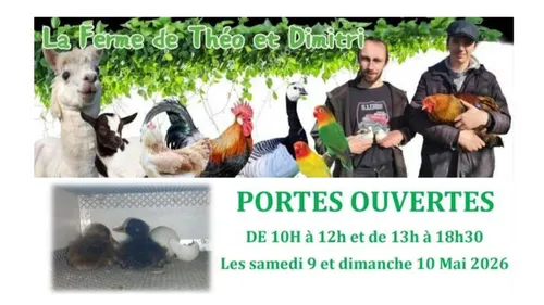 Balinghem : Portes ouvertes ce week-end à la Ferme de Théo et Dimitri