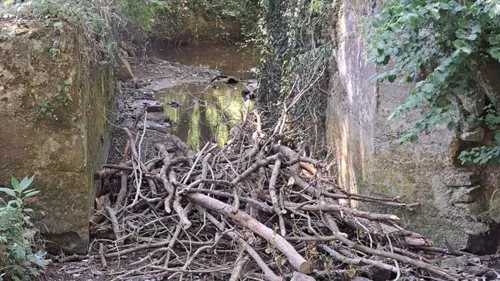 Ferques : des branches jetées dans le cours d'eau du parc d'Elinghen 