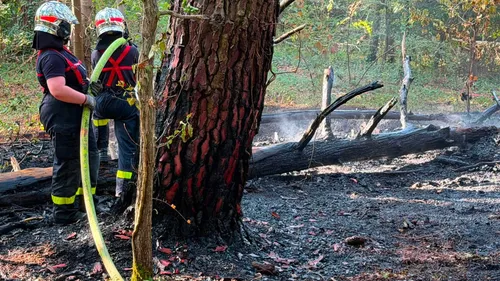 Le Touquet : 200 m² de forêt partis en fumée