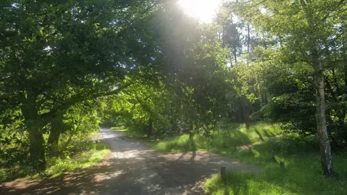 Saint-Etienne-au-Mont : un nouvel incendie en forêt d'Ecault