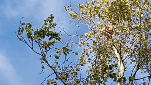 Saint-Pol-sur-Mer : un homme a frôlé la mort après une piqûre de...