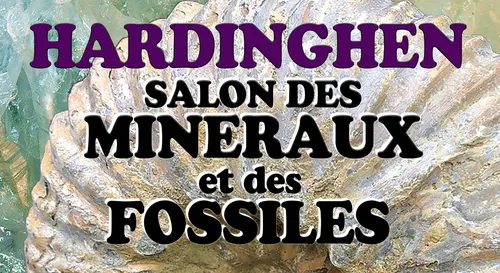 Le Salon des Minéraux et des Fossiles a lieu ce week-end à Hardinghen.