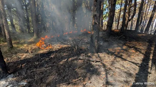 Incendies à Dannes et Neufchâtel-Hardelot, flammes fixées,...