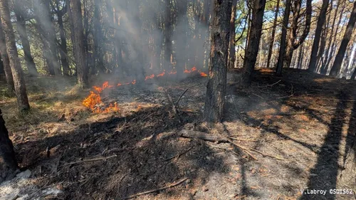 Incendie entre Dannes et Neufchâtel-Hardelot, une après-midi décisive
