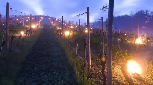 Sainte-Marie-Kerque : peut-être encore des fumées sur les routes la...