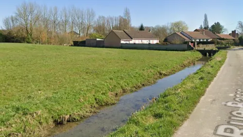 Aire-sur-la-Lys : des poissons morts dans l'eau polluée de la...