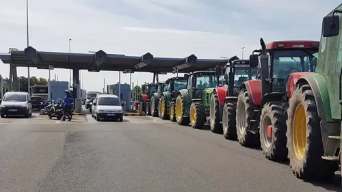 Epuisés "financièrement, administrativement, et psychologiquement",...