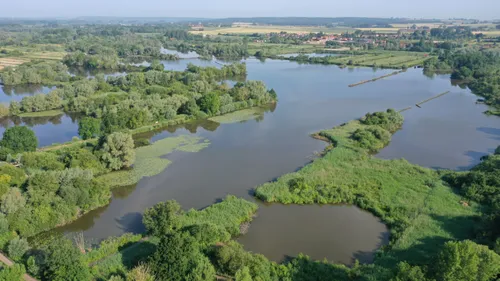 Impactée par les inondations, la Réserve Naturelle Nationale des...