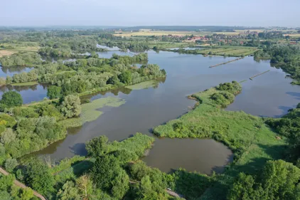 Impactée par les inondations, la Réserve Naturelle Nationale des...