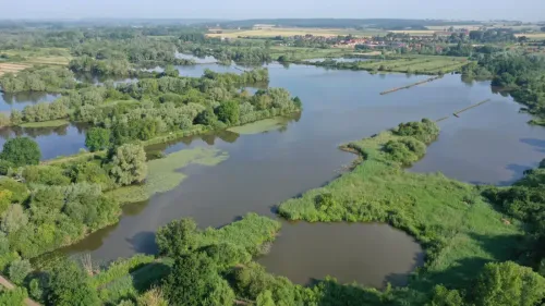 Audomarois : retour à la nature aux Étangs du Romelaëre