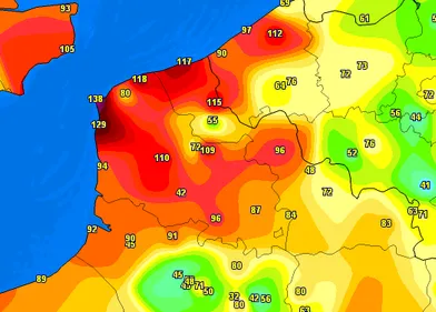 Tempête Henk : Le Nord Pas-de-Calais balayé par un fort coup de  vent