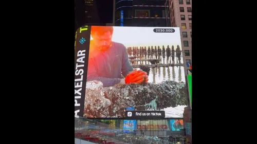 Les moules d'un producteur de Dannes s'affichent à New York: "ça...