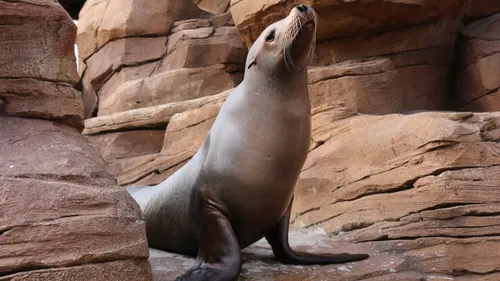 Boulogne-sur-Mer : disparition de l’une des figures historiques de...