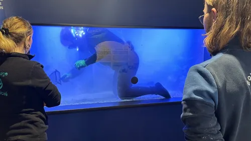 Boulogne : Encore des surprises et des nouveautés à Nausicaà en 2026