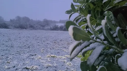 C'est parti, la neige tombe dans la région !